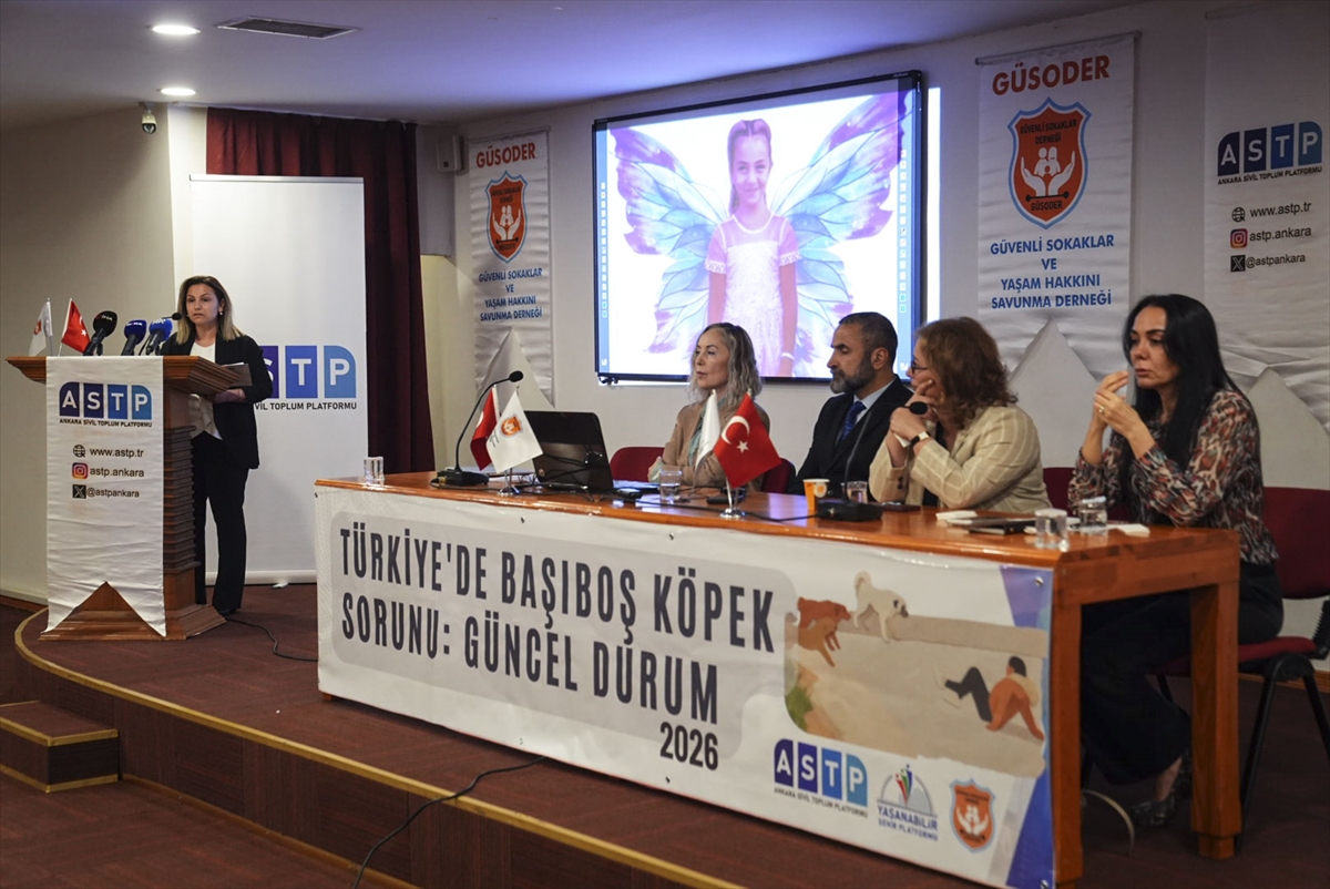 Başkentte "Türkiye'de Başıboş Köpek Sorunu: Güncel Durum" paneli düzenlendi